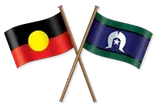 indigenous flags,